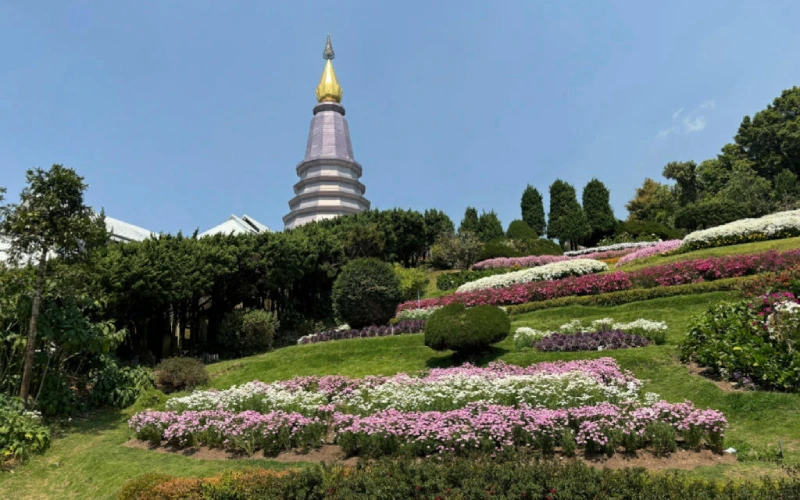 Grande sino dourado no templo, simbolizando tradição e espiritualidade em Chiang Mai
