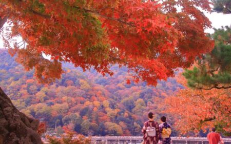 Temporada de hojas rojas en Japón y Corea del Sur.