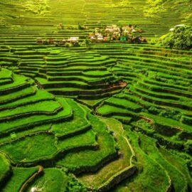 Campos de arroz de Banaue em Ifugao