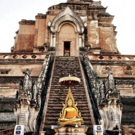 Buda no Templo Wat Chedi