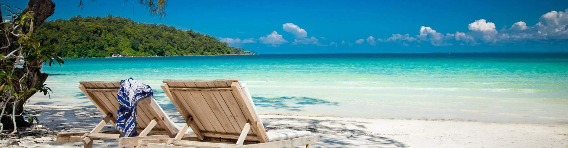 Realizar una consulta