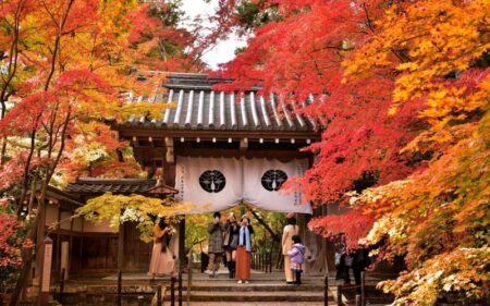 Outono Dourado no Japão.