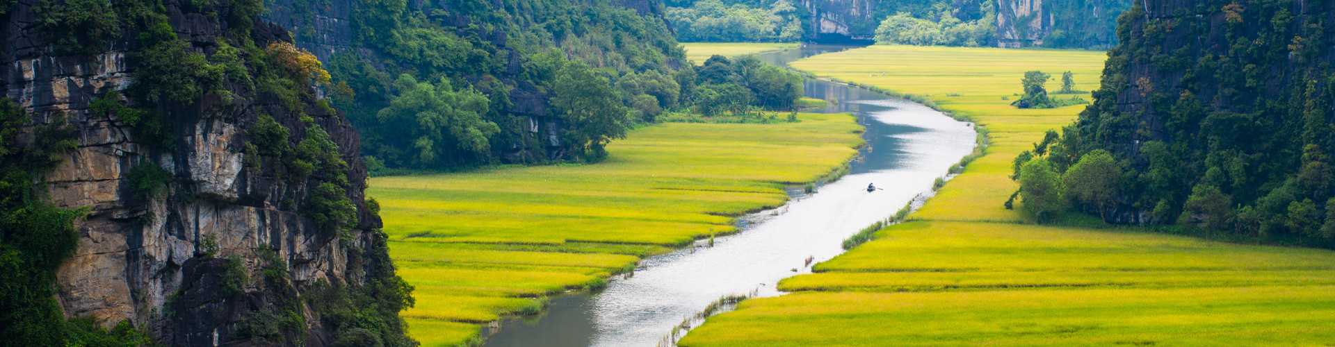 Grato pela assinatura