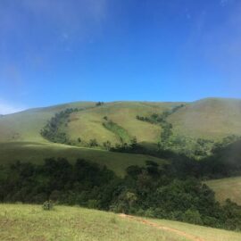 Parque Nacional Virachey