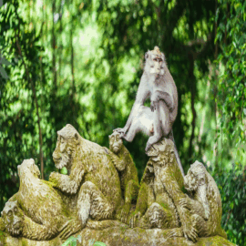 Santuário da Floresta dos Macacos Sagrados