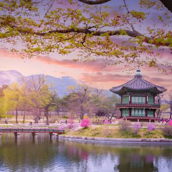 Viaje a Japón y Corea del Sur: Cerezos en Flor con Guía en Español.