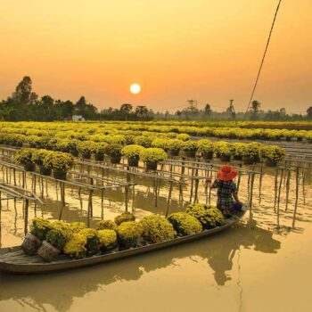 Delta del Río Mekong