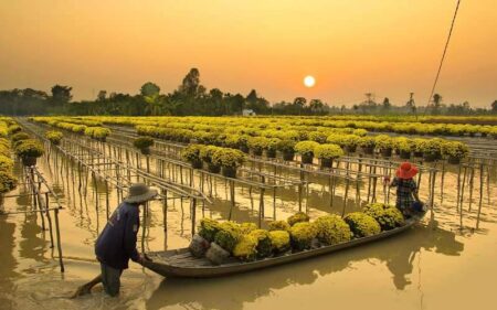 Viaje a Vietnam Camboya y Laos, grupo reducido en español.