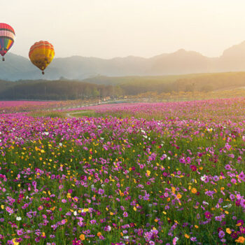 Tailândia Cingapura Malásia em 14 dias.