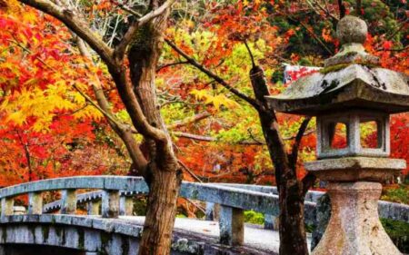 Japón en colores de Otoño.