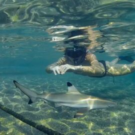 Snorkel en la bahía de Hin Wong