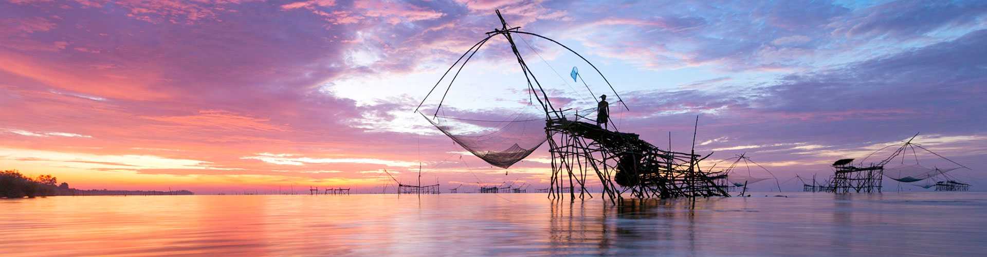 Terminos y condiciones