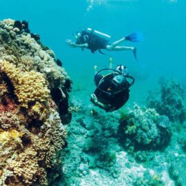 Buceo y esnórquel en Phu Quoc