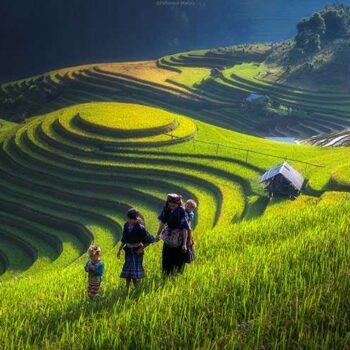 Vietnam en aventura con Ninh Binh y Sapa en español