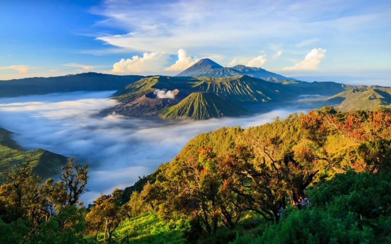 Java é marcada por seu patrimônio islâmico e abriga monumentos religiosos impressionantes