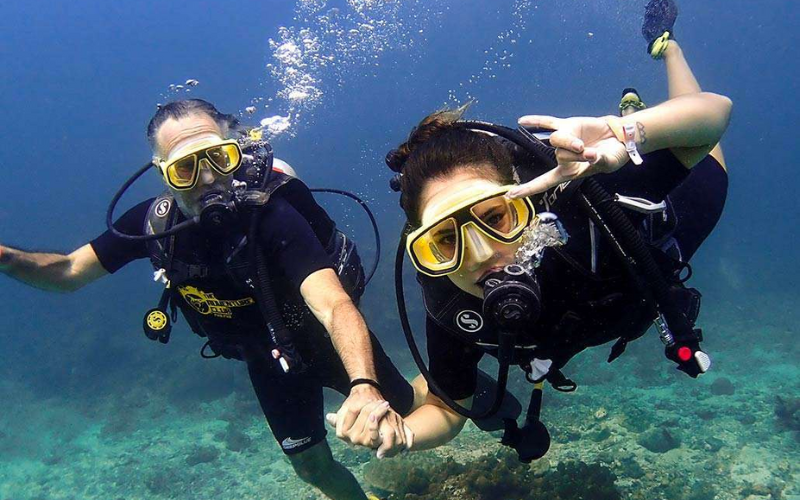 Mergulho revela a vida marinha vibrante de Phi Phi