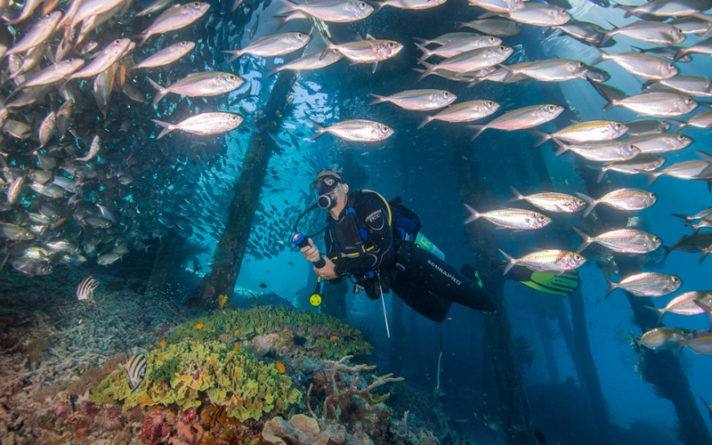 Raja Ampat: mergulho em recifes vibrantes com vida marinha rara e águas cristalinas