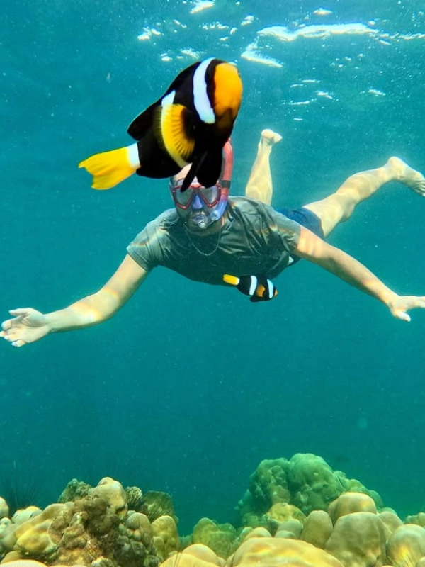 Recifes e mar calmo recebem mergulhadore