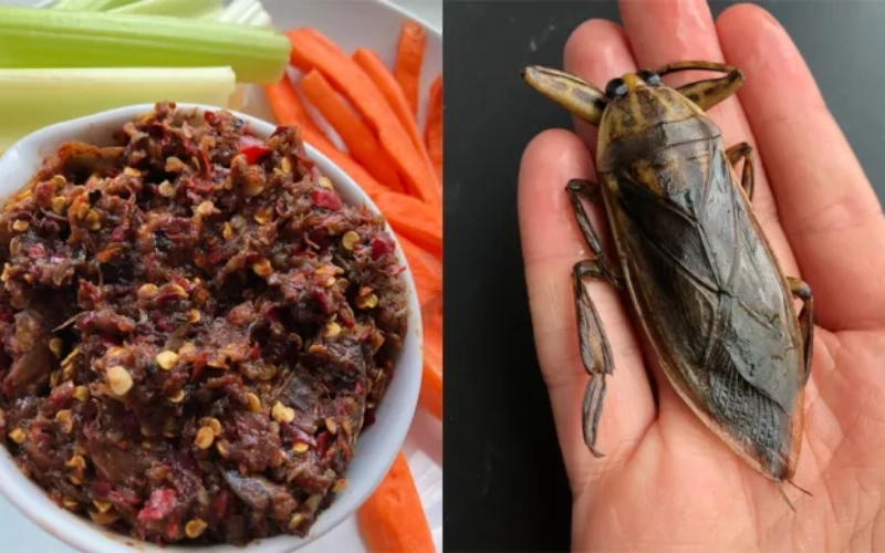 Adicione insetos ao nam prik por sabor