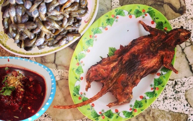 Experimente rato frito crocante