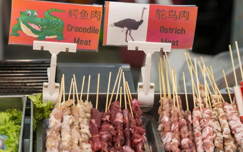 Prove carne de jacaré grelhada