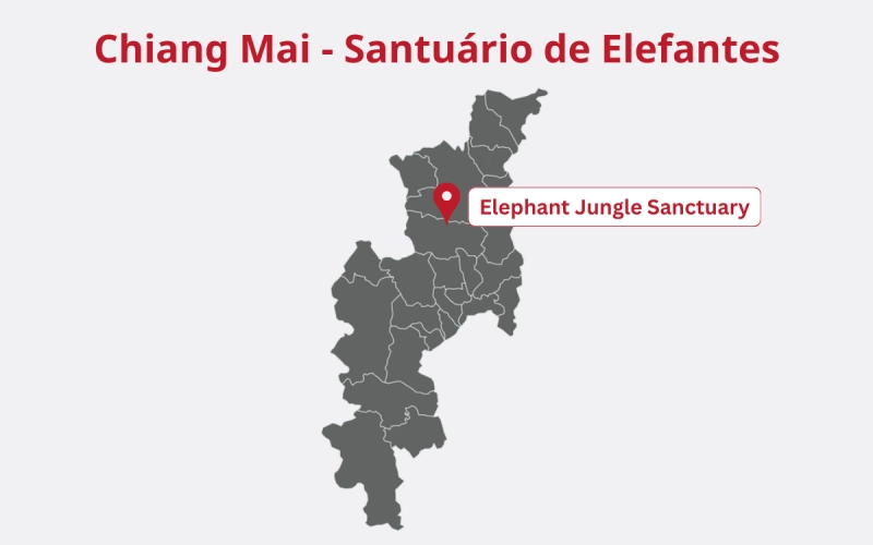 Interaja com elefantes no santuário de Chiang Mai