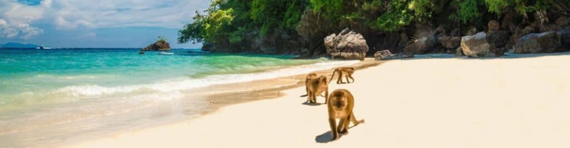 Viagem para Monkey Beach