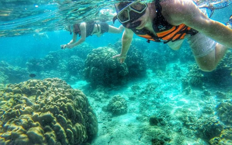 Visitantes exploram corais e vida marinha em Koh Lanta