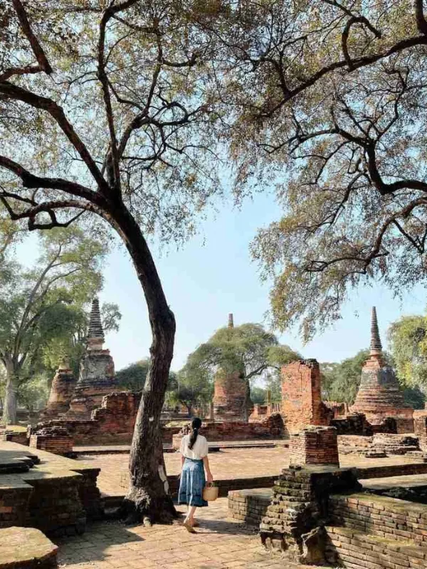 Medite sob árvore e sinta paz renovadora