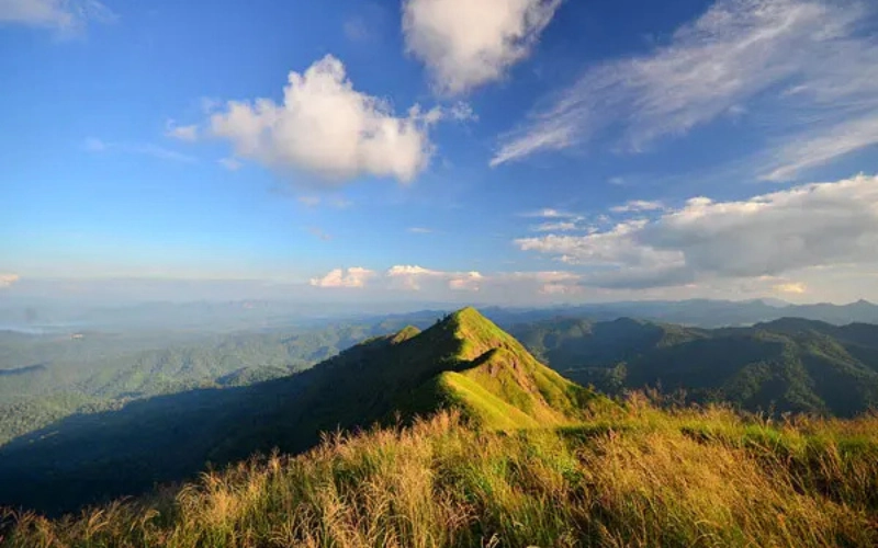 Silhueta de elefante se destaca na paisagem