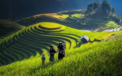 Vietnam en aventura con Ninh Binh y Sapa en español