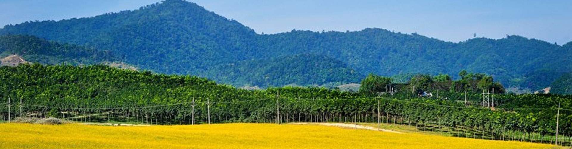 chiang rai attraction