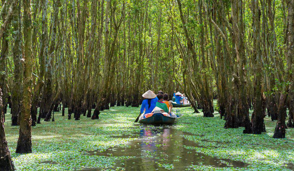 Mekong delta