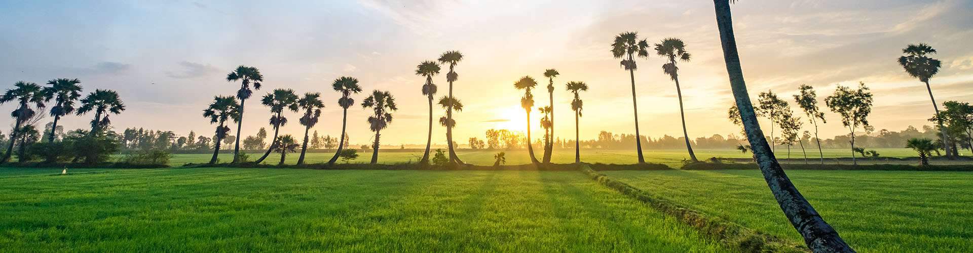 Mekong Delta