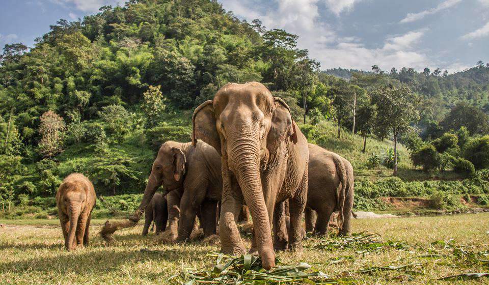 Chiang Mai