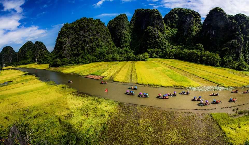 Campos arrozales de Tam Coc - Bich Dong