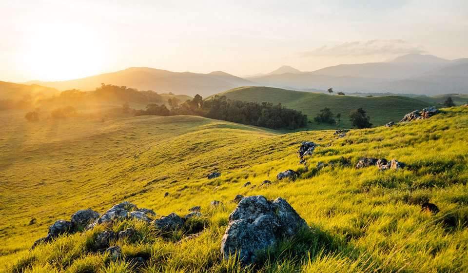 virachey national park