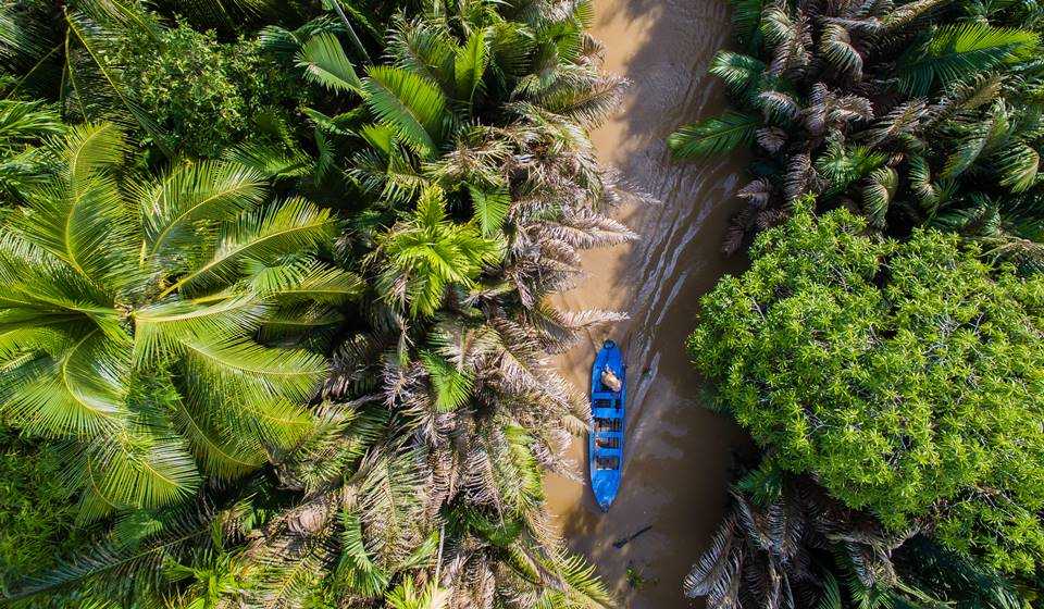 Mekong delta landscape from above