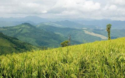 Mountains and minorities of Laos