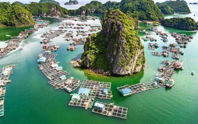 Día completo en Bahía de Halong en crucero con guía en español