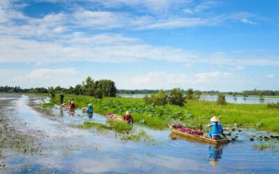 Tesouros do Vietnã e Camboja