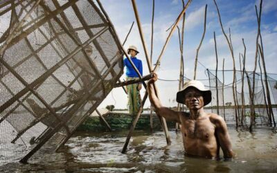 Excursión en crucero a Tonle Sap & Museo Nacional de Angkor con guía de habla hispana