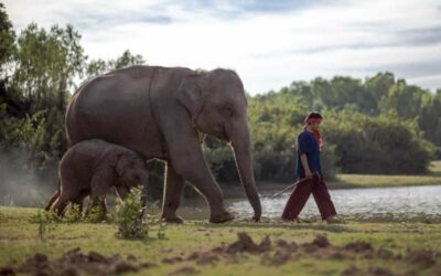 Legends of Laos family holiday