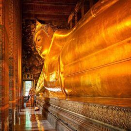 wat pho