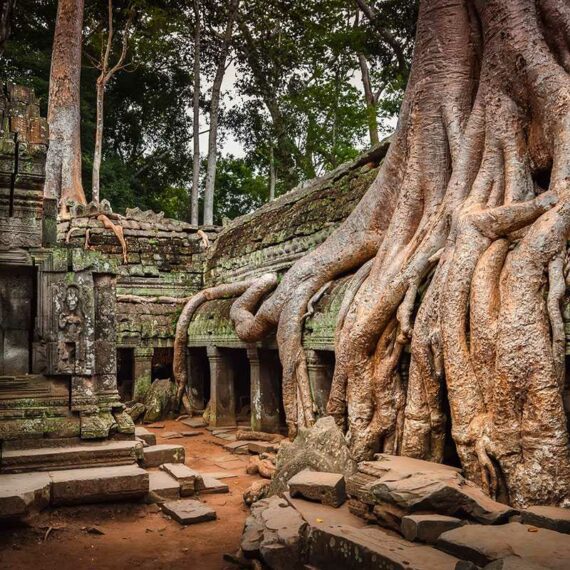 Templo de Ta Prohm