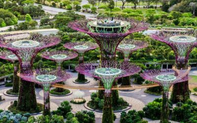 Excursión privada en Singapur con guía en español en privado en 5 horas