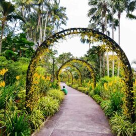 Jardín Nacional de las Orquídeas
